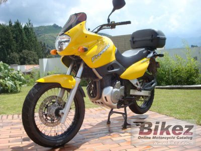 2003 Suzuki XF 650 Freewind photo